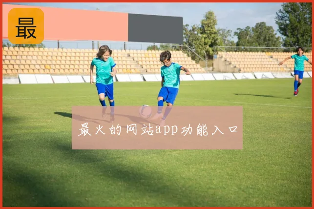 最火的网站app功能入口